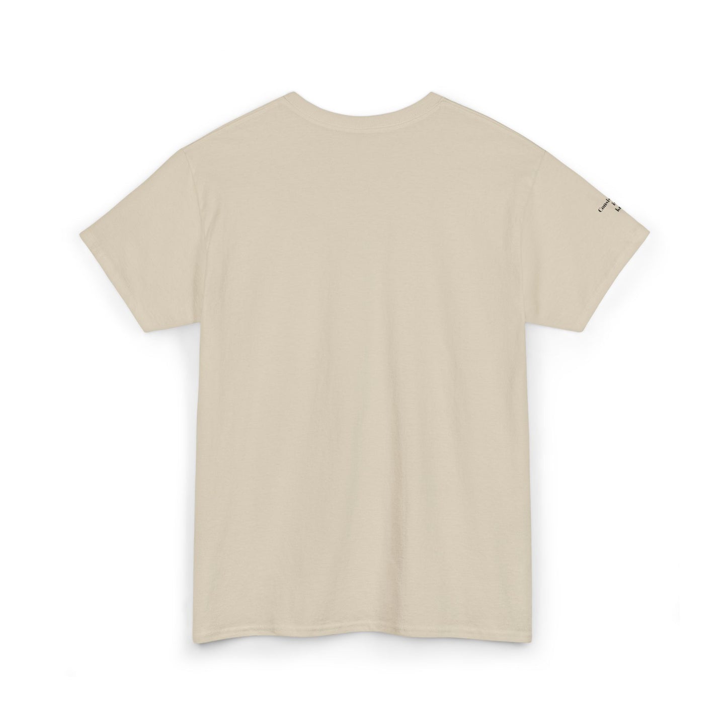 Stay Consistent Tee — Motivational Graphic T-Shirt